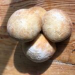 Bollitos Pan Blanco (10 pzas)